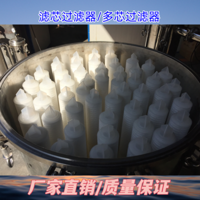 滤芯式过滤器